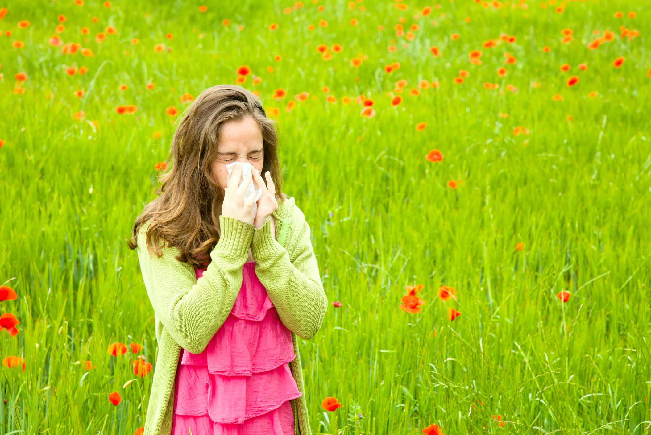 Hay fever